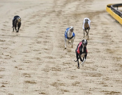 A La Cour du Roi Boulou - Estoril champion de France