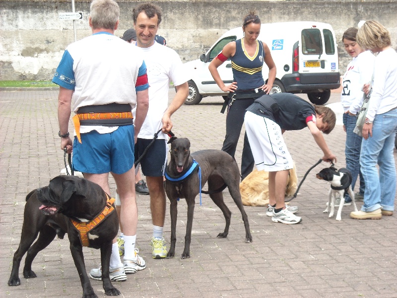 CH. Babylone A La Cour du Roi Boulou